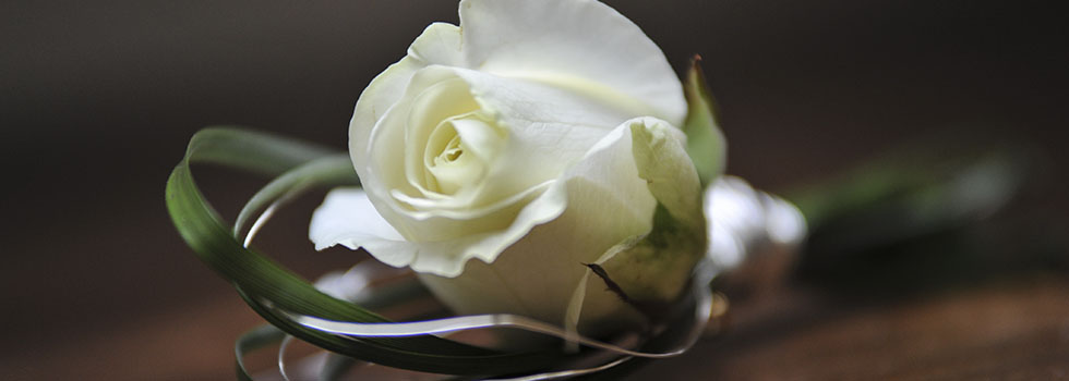 Hochzeit / Wedding / Brautfotos / Hochzeitsfotos